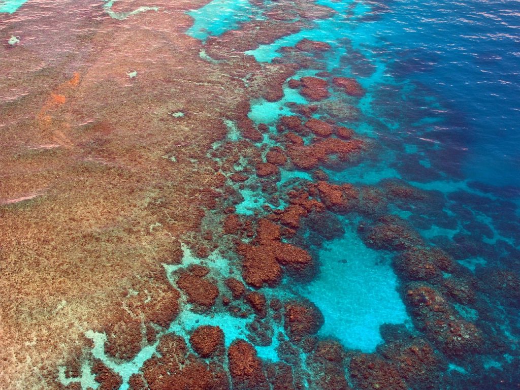 barrier reef