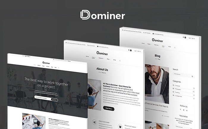 Dominer Business & Services WordPress Theme