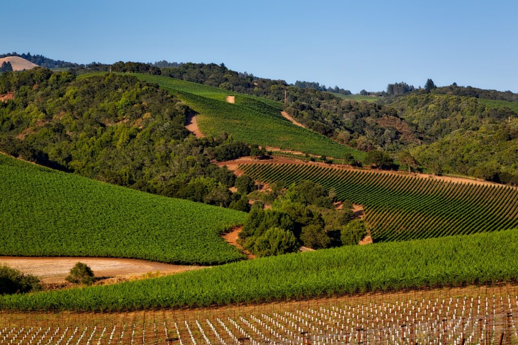 Sonoma