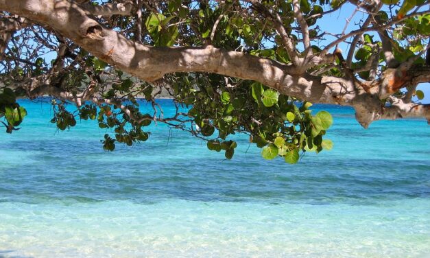 Discover Barbados in 2025: Top Travel Trends and Must-Visit Destinations