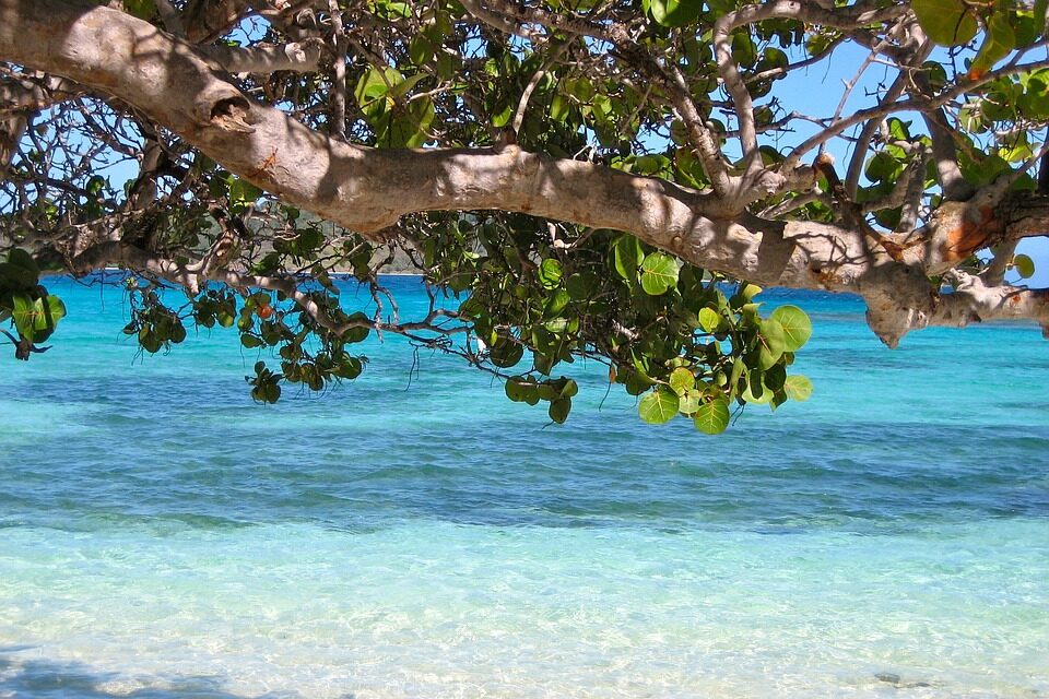 Discover Barbados in 2025: Top Travel Trends and Must-Visit Destinations