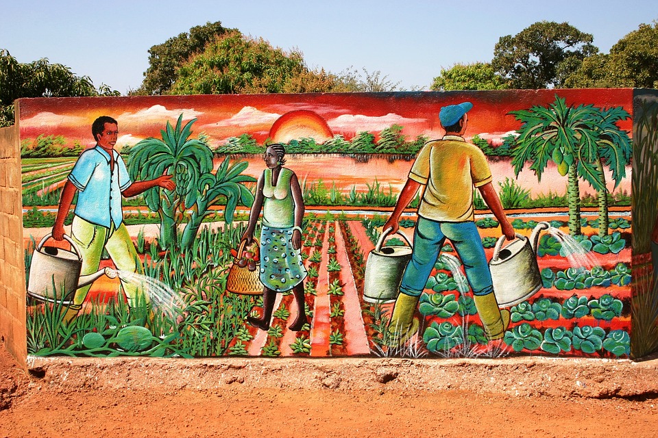 Discover Burkina Faso in 2025: A Comprehensive Travel Guide for Adventurers
