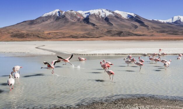 Ultimate Guide to Bolivia Travel in 2025: Top Destinations, Insider Tips, and Hidden Gems