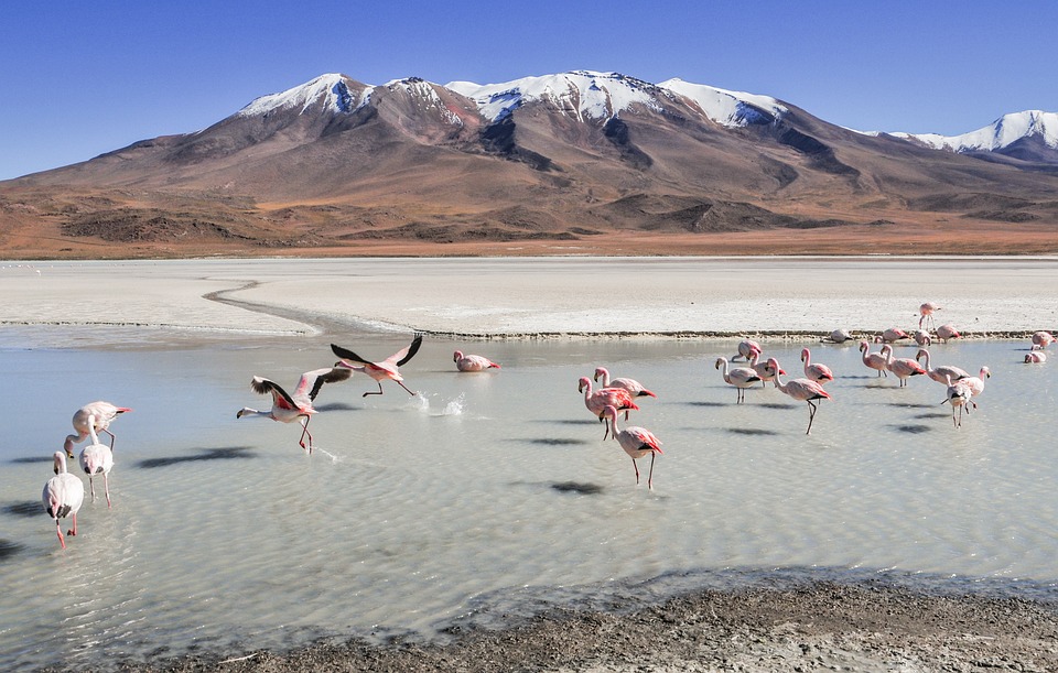 Ultimate Guide to Bolivia Travel in 2025: Top Destinations, Insider Tips, and Hidden Gems