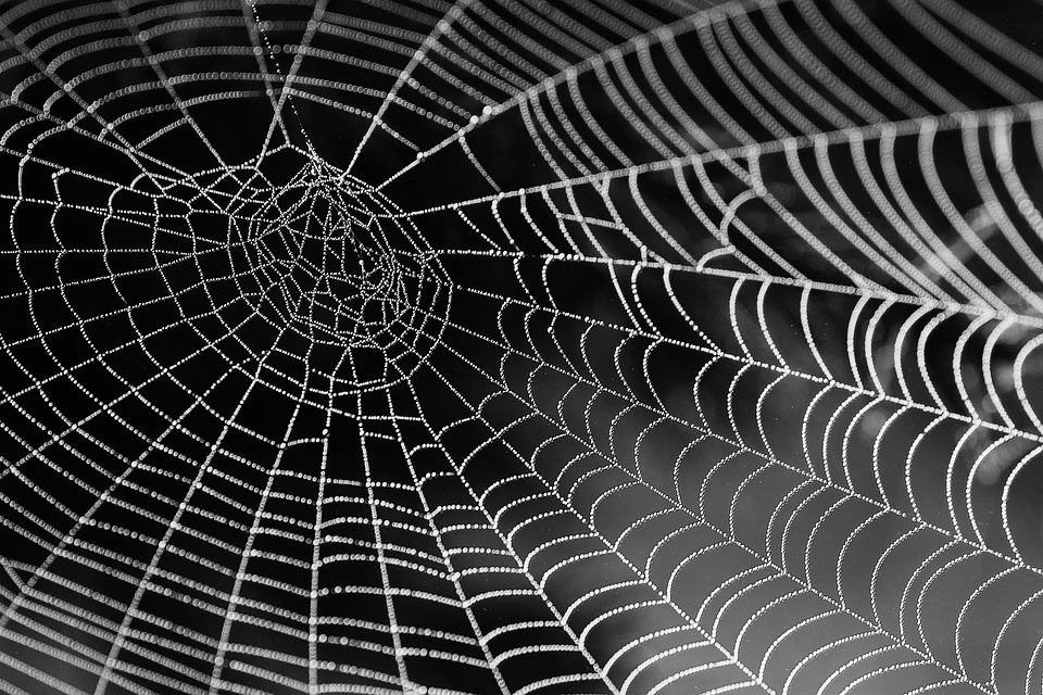 2025 Guide: Comparing Web Hosting Providers for Adventure and Tourism Platforms