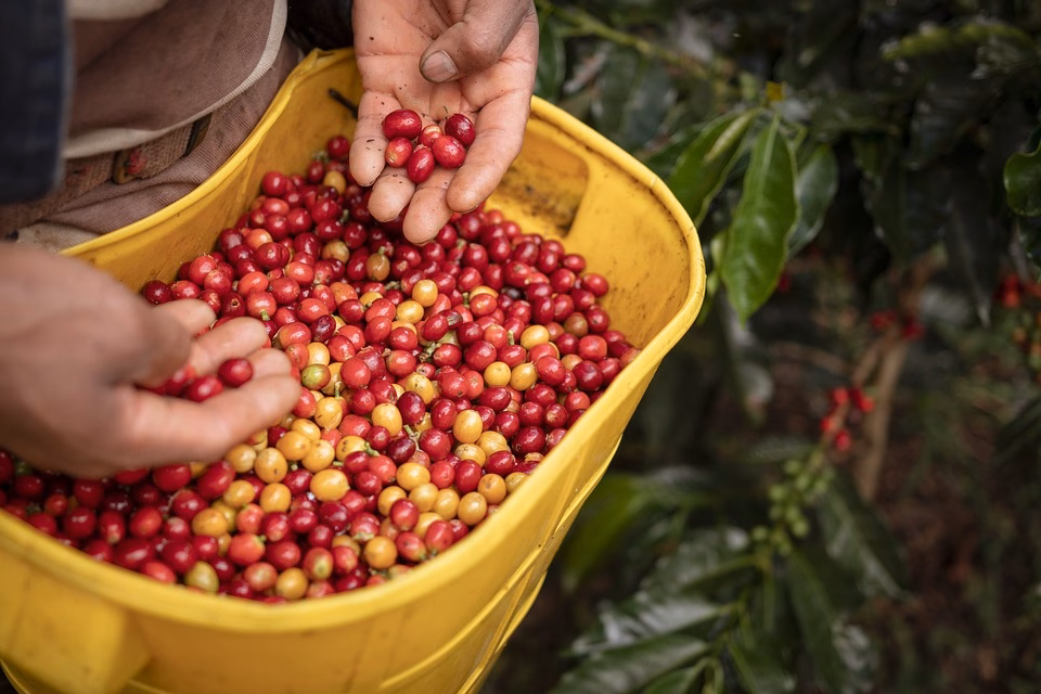 Colombia Travel Trends 2025: Insider Tips for Your Perfect Adventure