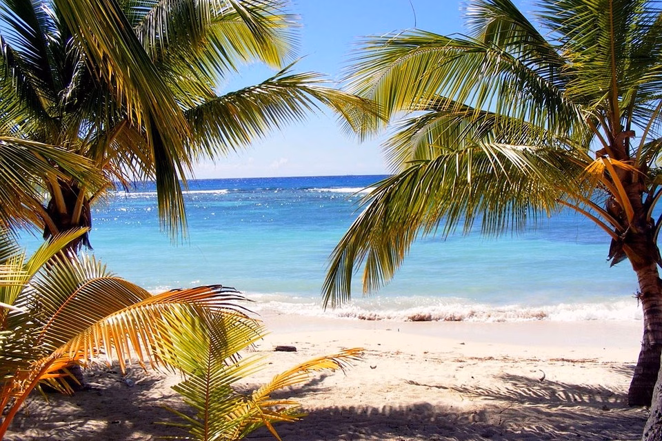 Discover Dominica in 2025: Top Travel Trends and Must-See Destinations
