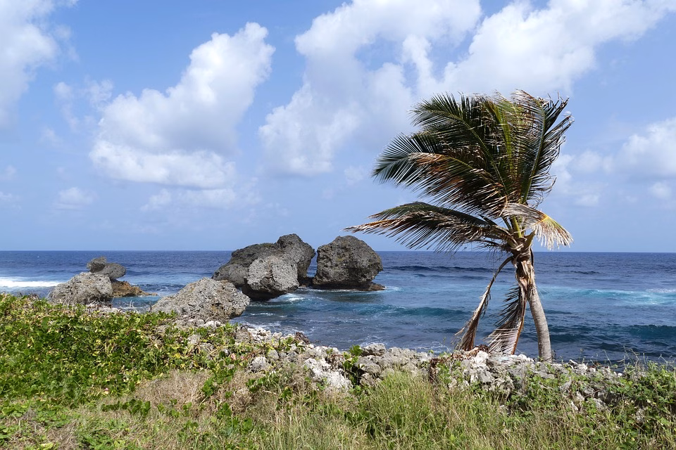 Discover Grenada in 2025: Top Travel Trends and Must-Visit Destinations