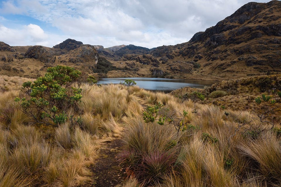 Ecuador Travel Trends 2025: Top Experiences You Don’t Want to Miss