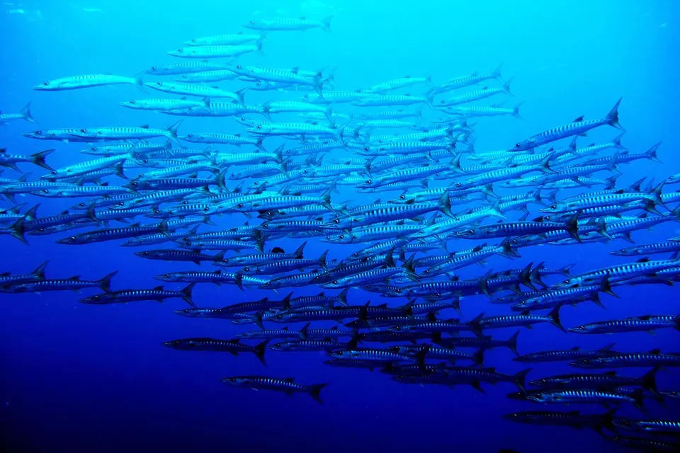 The Ultimate Palau Travel Guide 2025: Top Destinations and Insider Tips