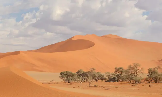 Top Namibia Travel Trends for 2025: What You Need to Know Before You Go