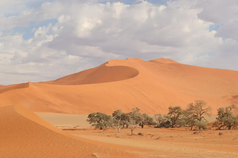 Top Namibia Travel Trends for 2025: What You Need to Know Before You Go
