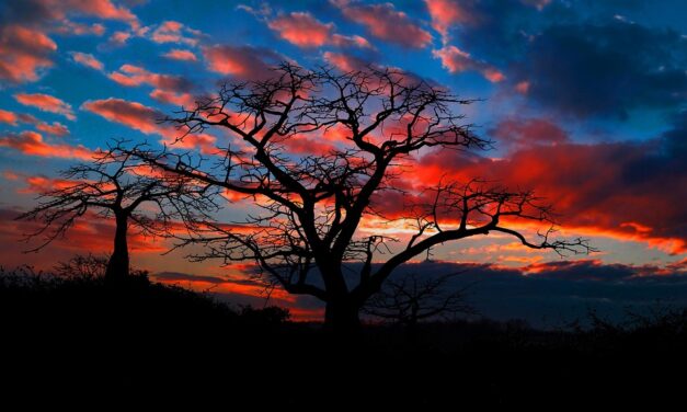 Discover Angola’s Hidden Gems: Top Travel Destinations You Can’t Miss