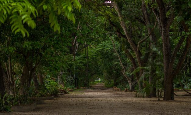 Discover Venezuela: Hidden Gems and Must-Visit Destinations for Your Next Adventure