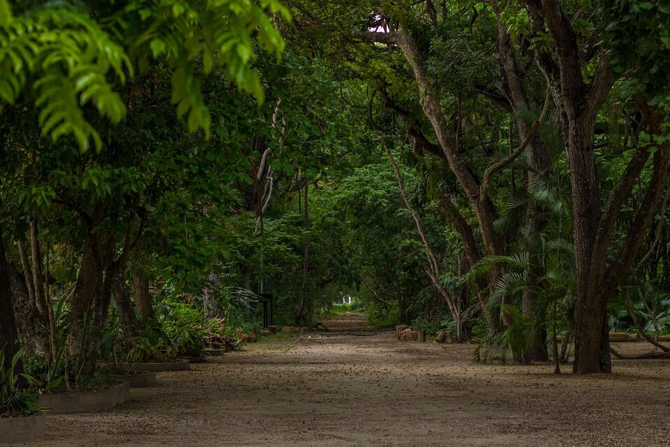Discover Venezuela: Hidden Gems and Must-Visit Destinations for Your Next Adventure