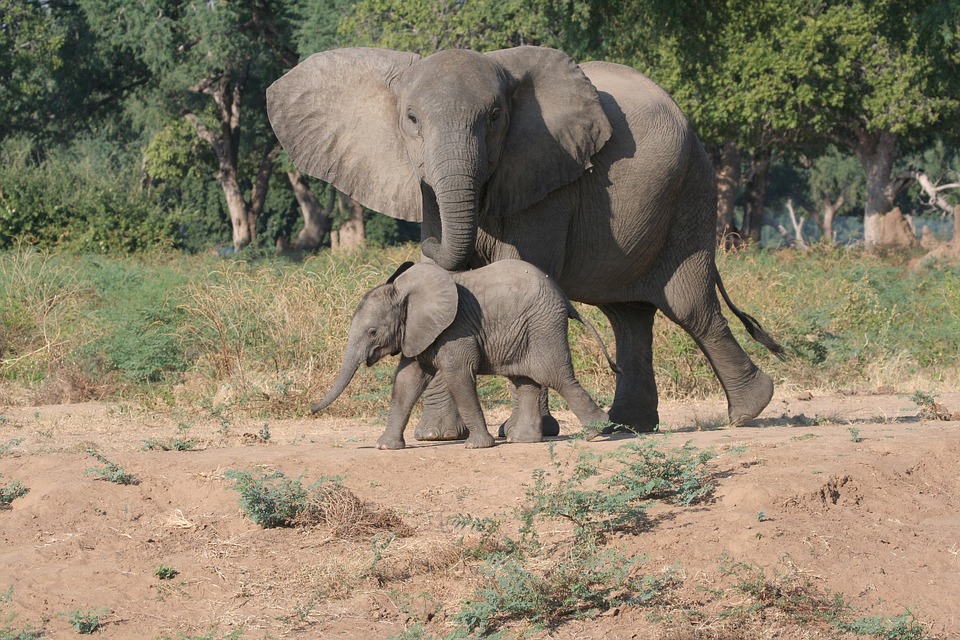 Discover Zimbabwe: Hidden Gems and Must-Visit Destinations for Every Traveler