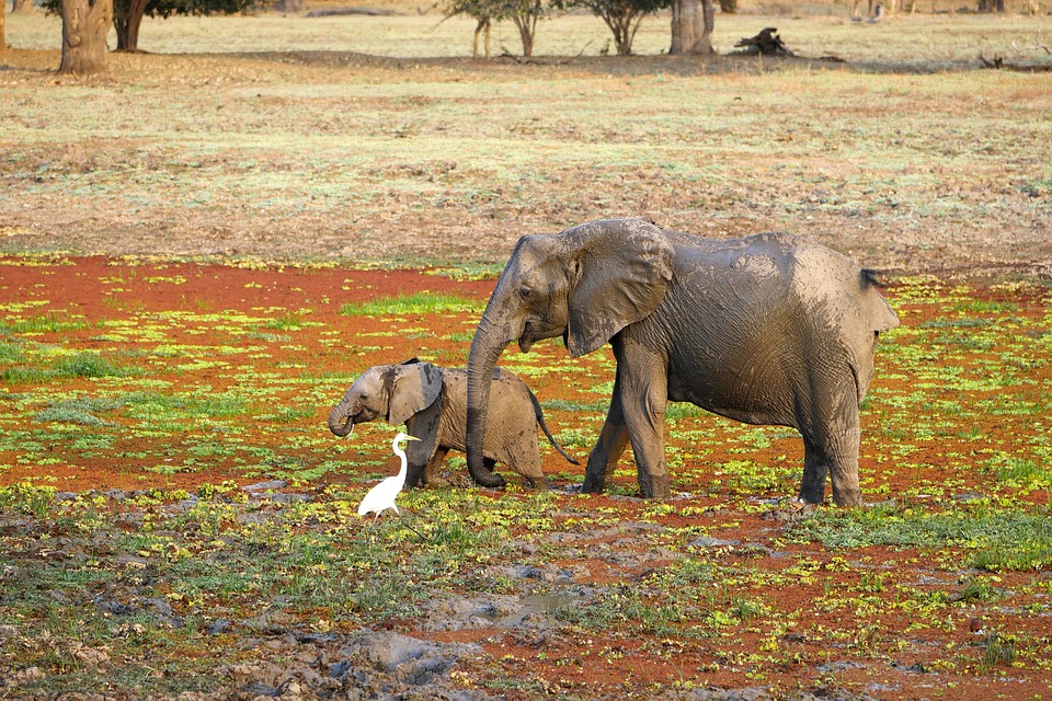 Exploring the Heart of Africa: Top Hidden Gems in Zambia You Can’t Miss