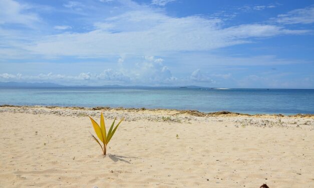 Fiji Travel Trends 2025: Top Destinations and Insider Tips for a Dream Vacation