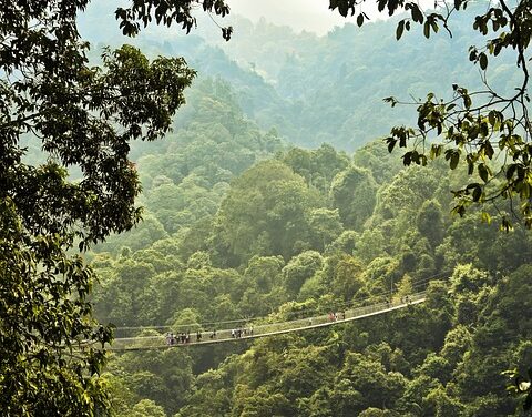 Indonesia Travel Trends 2025: Top Destinations, Experiences, and Insider Tips