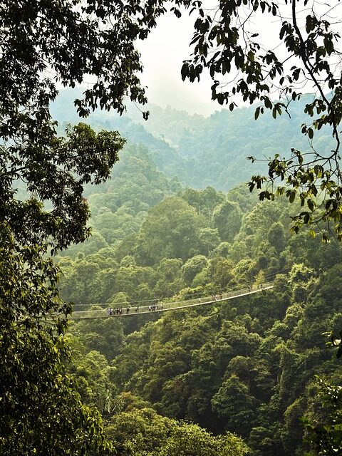 Indonesia Travel Trends 2025: Top Destinations, Experiences, and Insider Tips