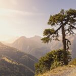 Switzerland Travel Trends 2025: Top Destinations and Experiences You Can’t Miss