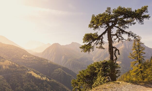 Switzerland Travel Trends 2025: Top Destinations and Experiences You Can’t Miss