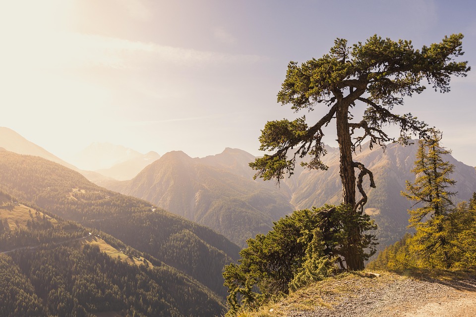 Switzerland Travel Trends 2025: Top Destinations and Experiences You Can’t Miss