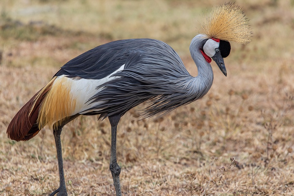 Top Tanzania Travel Trends for 2025: What to Expect and How to Plan