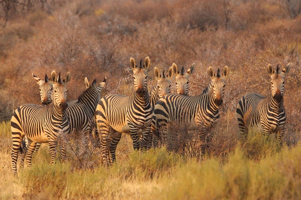 Top Travel Trends in South Africa for 2025: What Every Traveler Should Know