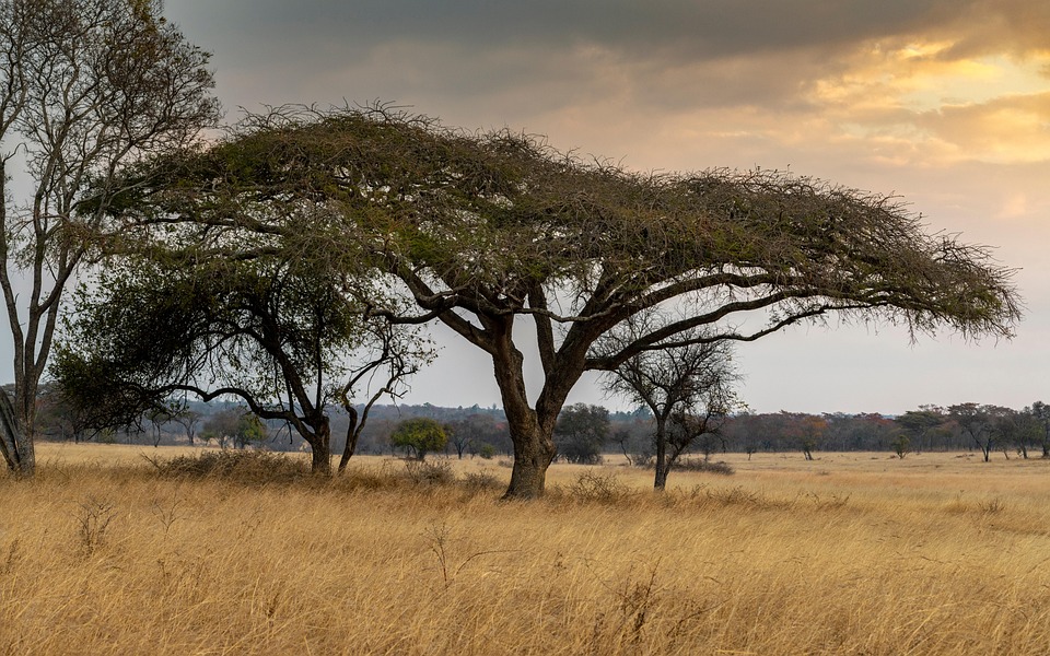 Zimbabwe Travel Guide 2025: Must-Visit Destinations and Emerging Hotspots