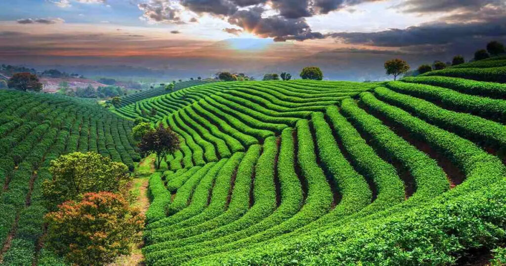Bangladesh