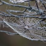 Cloud Hosting vs Shared Hosting: The Best Options for Tourism and Adventure Websites in 2025