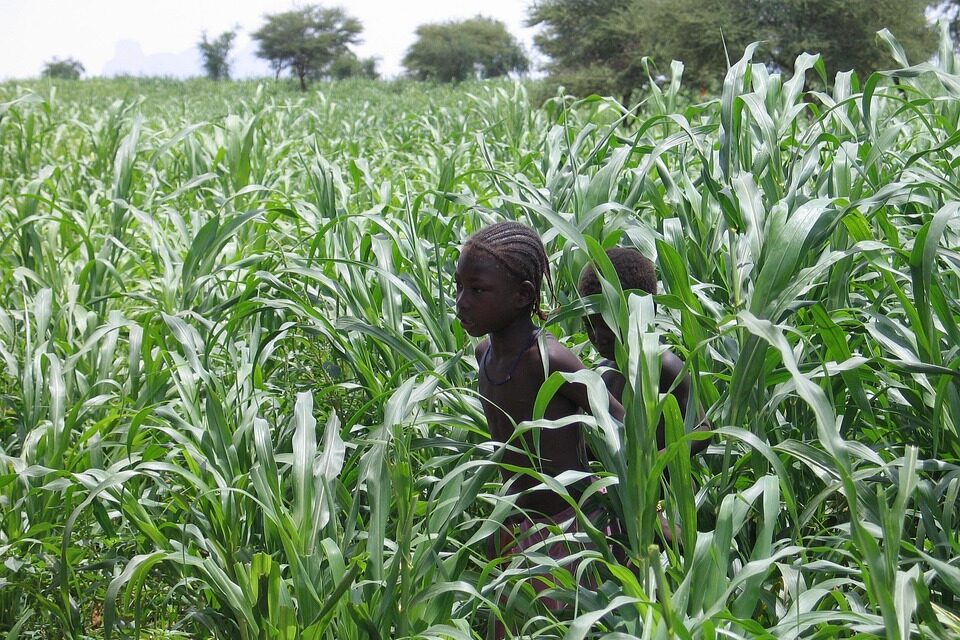 Discover Mali: Hidden Gems and Must-Visit Destinations in West Africa