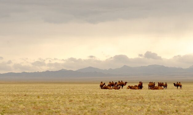 Discover the Land of the Eternal Blue Sky: Hidden Gems and Must-Visit Spots in Mongolia