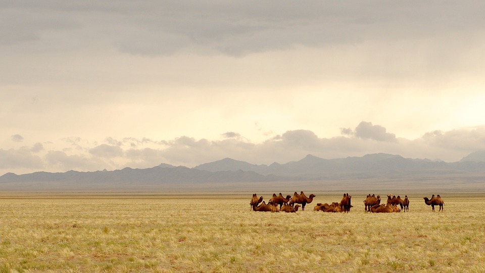 Discover the Land of the Eternal Blue Sky: Hidden Gems and Must-Visit Spots in Mongolia