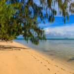Palau Unveiled: Top Must-Visit Destinations in This Oceanic Wonderland