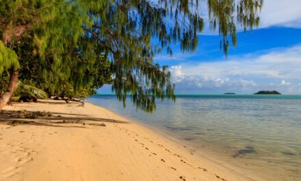 Palau Unveiled: Top Must-Visit Destinations in This Oceanic Wonderland