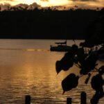 Discover the Magic of Tonga: Hidden Gems and Must-Visit Destinations for Your Next Adventure