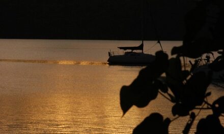 Discover the Magic of Tonga: Hidden Gems and Must-Visit Destinations for Your Next Adventure