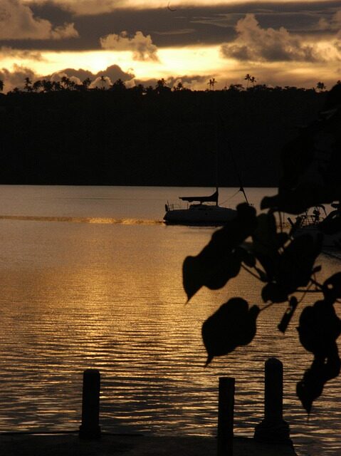 Discover the Magic of Tonga: Hidden Gems and Must-Visit Destinations for Your Next Adventure