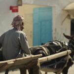 Unveiling Tunisia: Hidden Gems and Must-See Destinations for the Adventurous Traveler