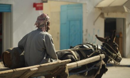 Unveiling Tunisia: Hidden Gems and Must-See Destinations for the Adventurous Traveler