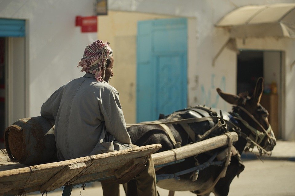 Unveiling Tunisia: Hidden Gems and Must-See Destinations for the Adventurous Traveler
