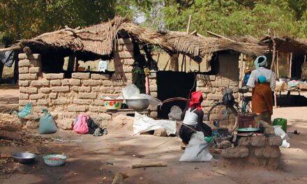Burkina Faso Travel Guide: Top Attractions, Unique Insights, and Expert Tips
