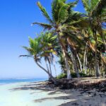 Unveiling the Dominican Republic: Hidden Gems and Must-Visit Destinations for Every Traveler
