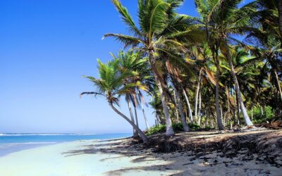 Unveiling the Dominican Republic: Hidden Gems and Must-Visit Destinations for Every Traveler