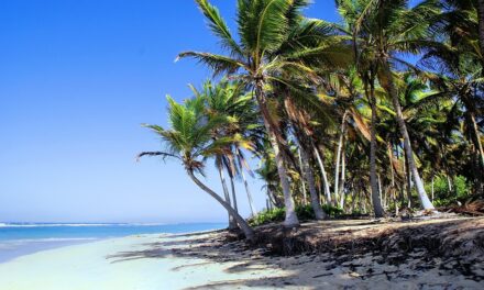 Unveiling the Dominican Republic: Hidden Gems and Must-Visit Destinations for Every Traveler