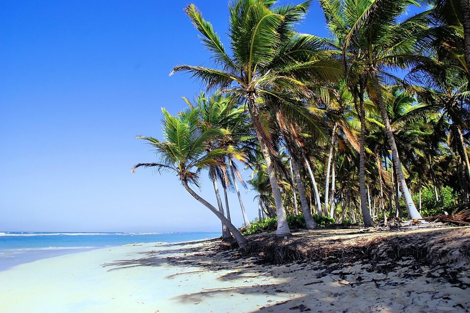 Unveiling the Dominican Republic: Hidden Gems and Must-Visit Destinations for Every Traveler