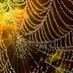 2025 Hosting Insights: Top Features to Look for in Travel-Focused Hosting Providers