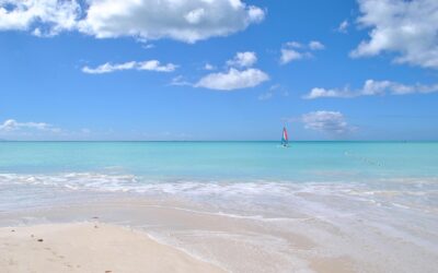 A Complete Travel Guide to Antigua and Barbuda: Beaches, Culture, and Beyond